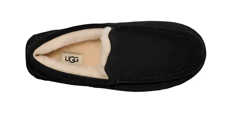 UGG ASCOT MEN'S - Image 4