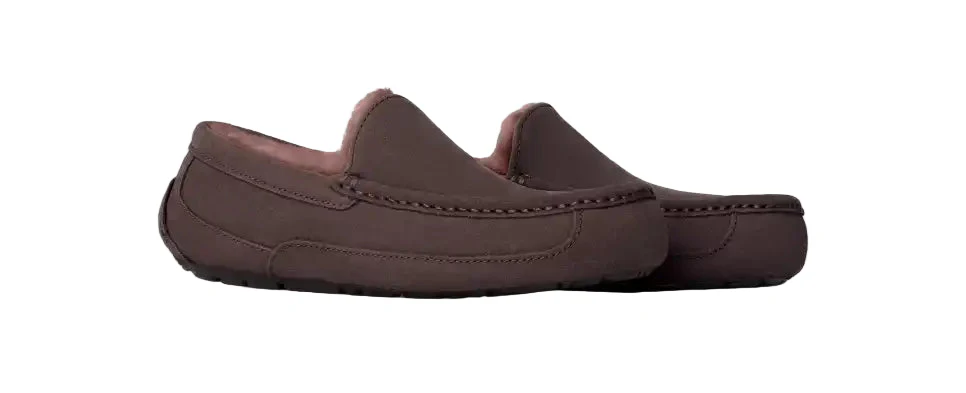 UGG ASCOT MEN'S