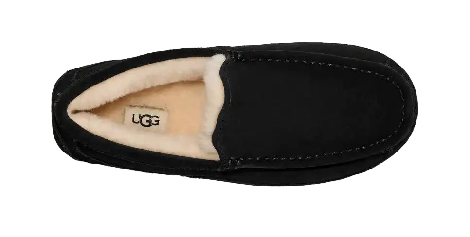 UGG ASCOT MEN'S - Image 5