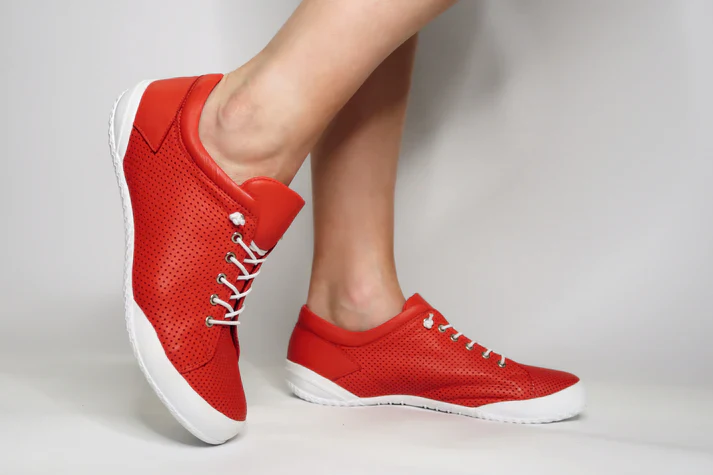 GELATO TEEJAY WOMEN'S - Image 4